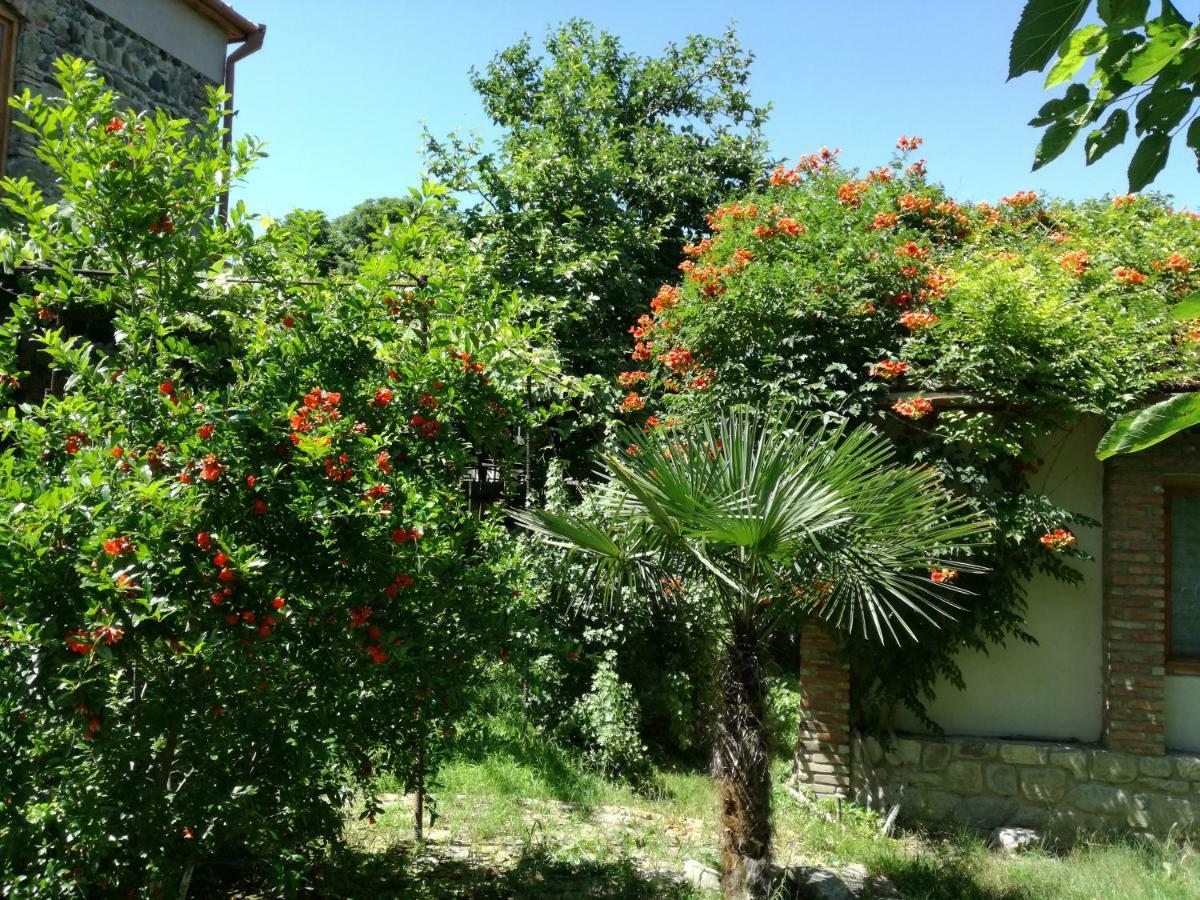 Old House Apartment With Garden Area Mtsʼkhetʼa Exterior foto